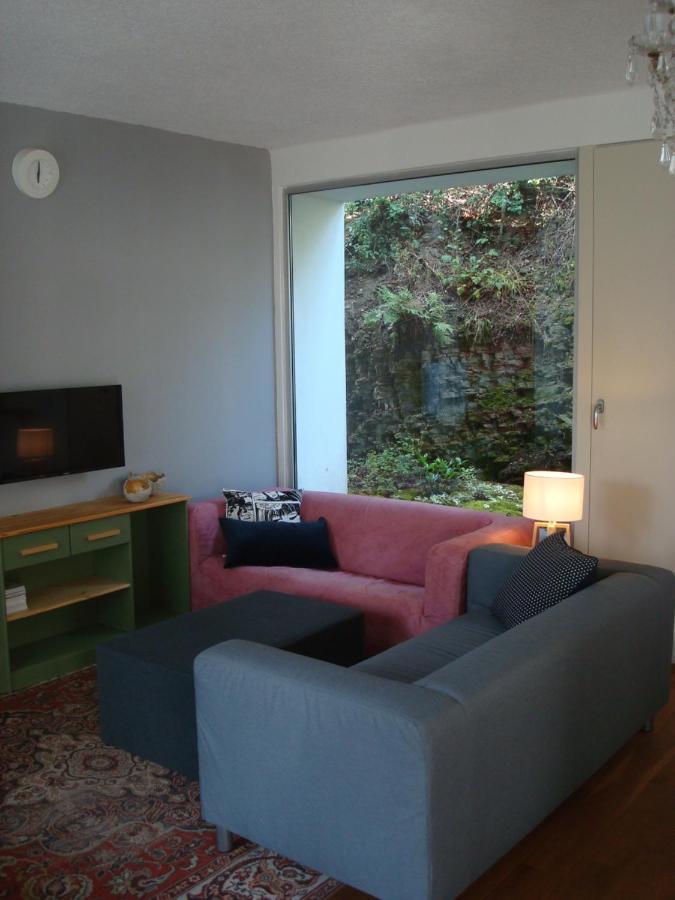 Apartman Pod Velkou Amerikou Morina Buitenkant foto